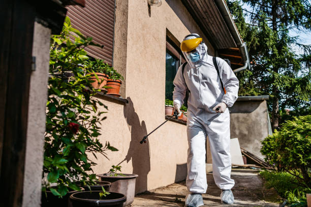 Best Commercial Pest Control Services  in Maineville, OH
