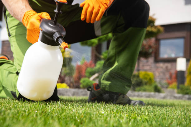 Best Wildlife Control Services  in Maineville, OH