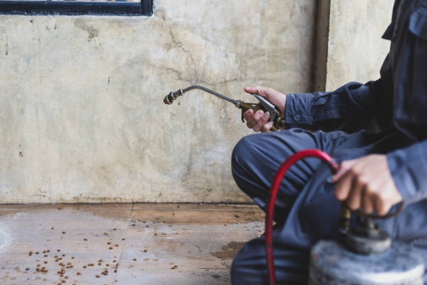 Best Pest Removal Services  in Maineville, OH